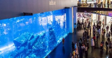 Dubai Aquarium & Underwater Zoo - Dubai Akvaryumu ve Sualtı Hayvanat Bahçesi - Rehberi ve Biletler