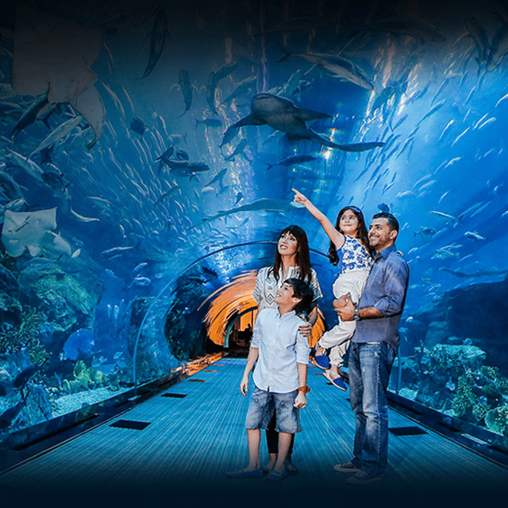 Dubai Aquarium & Underwater Zoo - Dubai Akvaryumu ve Sualtı Hayvanat Bahçesi - Rehberi ve Biletler