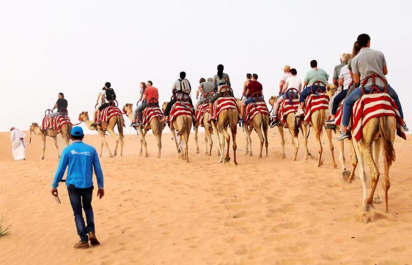 Dubai'de Çöl Safarisi - Develerle Safari