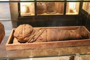Floransa Ulusal Arkeoloji Müzesi Bileti - Çocuk Mumyası