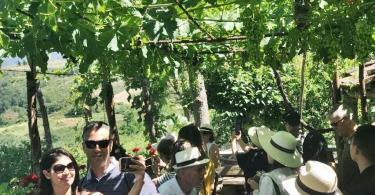 Floransa Kalkışlı Chianti Öğleden Sonra Yarım Günlük Tur