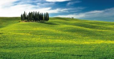 Floransa Kalkışlı Montalcino, Pienza ve Montepulciano Şarap Turu