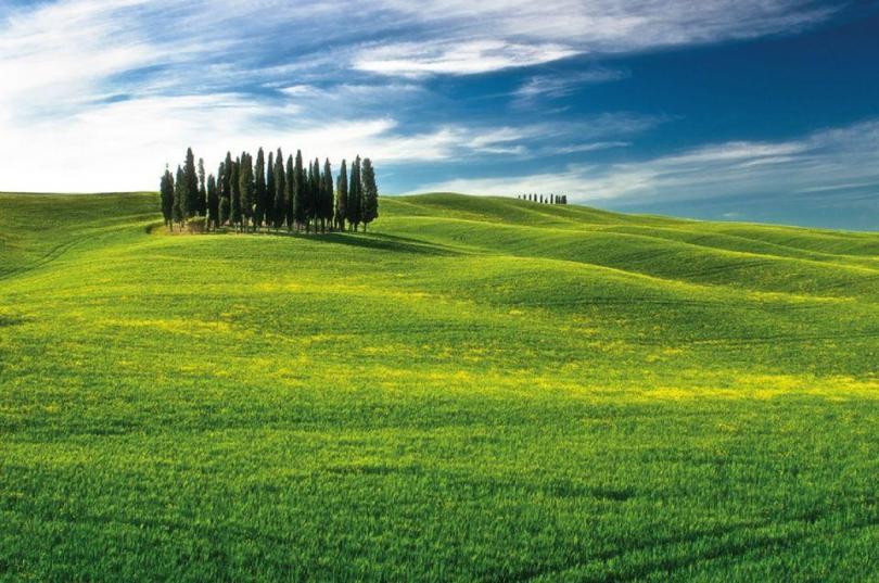 Floransa Kalkışlı Montalcino, Pienza ve Montepulciano Şarap Turu