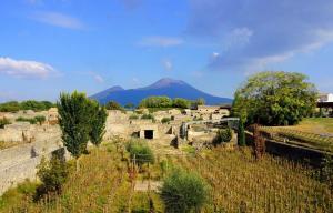 Forum Boarium - Pompeii. Fotoğraf: Pompeii Sites