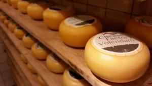 Volendam'ın Peynirleri - I Amsterdam Card Rehberi