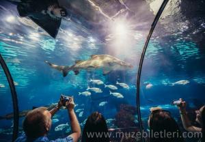 Barselona Akvaryumu - The Oceanarium bölümü