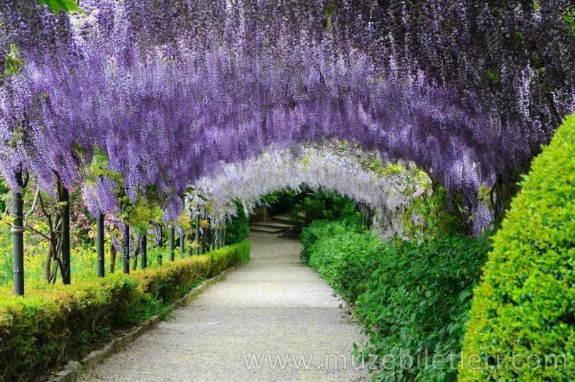 Boboli Bahçeleri - Floransa - İtalya (5)