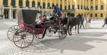 Schönbrunn Sarayı